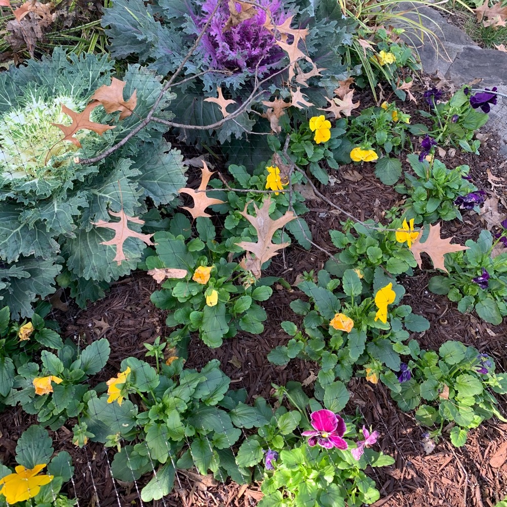 Meet your Posher, Stephani